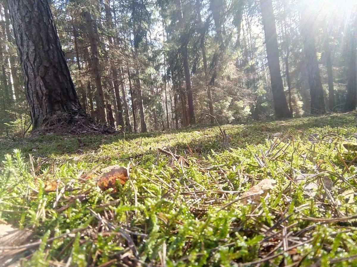 Spichlerz Lejlighed Rydzewo Eksteriør billede